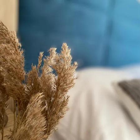 Morska Przygoda Dom wakacyjny *