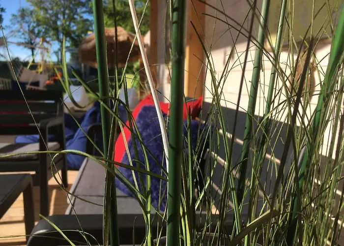 Morska Przygoda Basen Brodzik Malpi Gaj * Sarbinowo