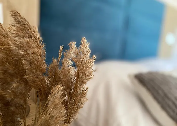 Morska Przygoda Dom wakacyjny *